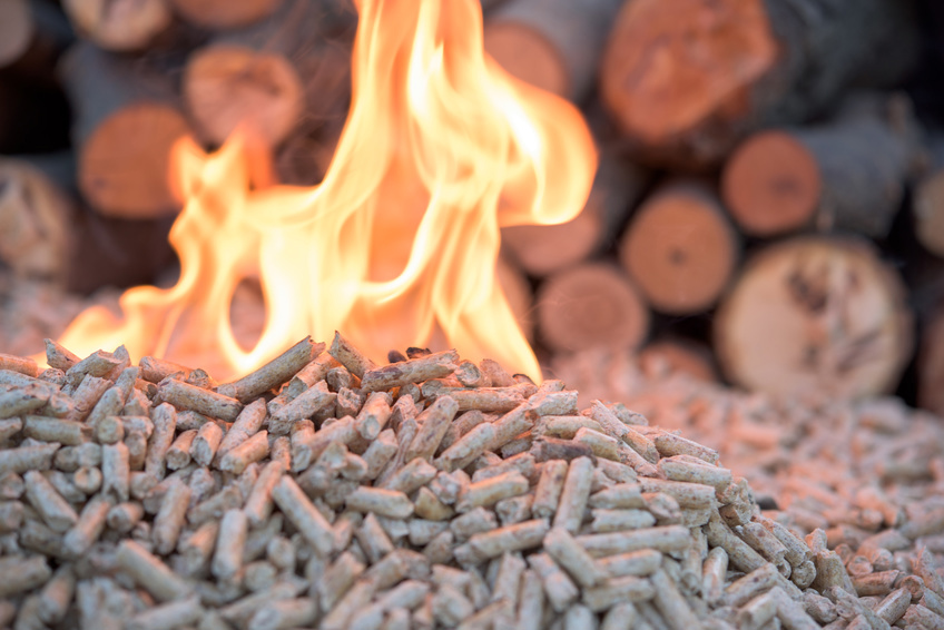 woods and wooden pellets